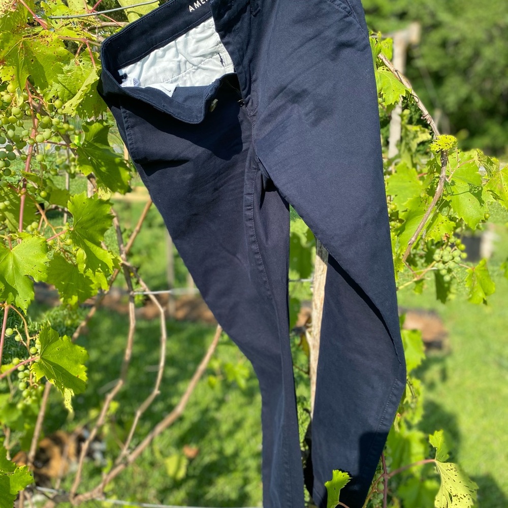 AE Skinny Pant